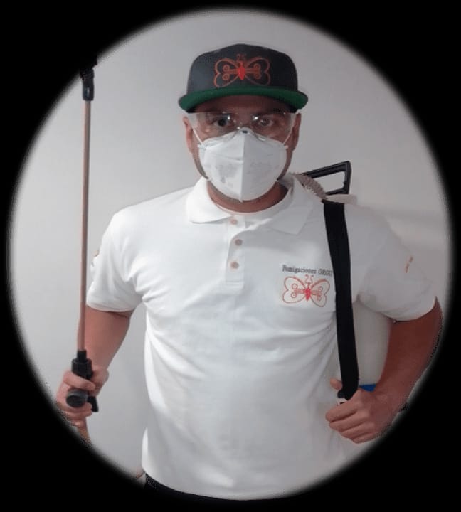 Fumigaciones Orgui Servicios