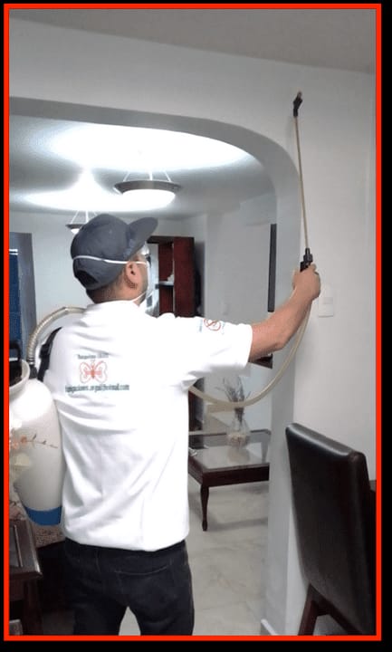 Fumigaciones Orgui Servicios