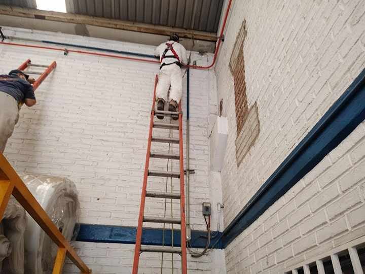 Fumigaciones Orgui Servicios