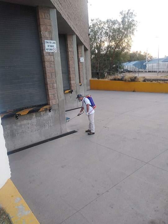 Fumigaciones Orgui Servicios