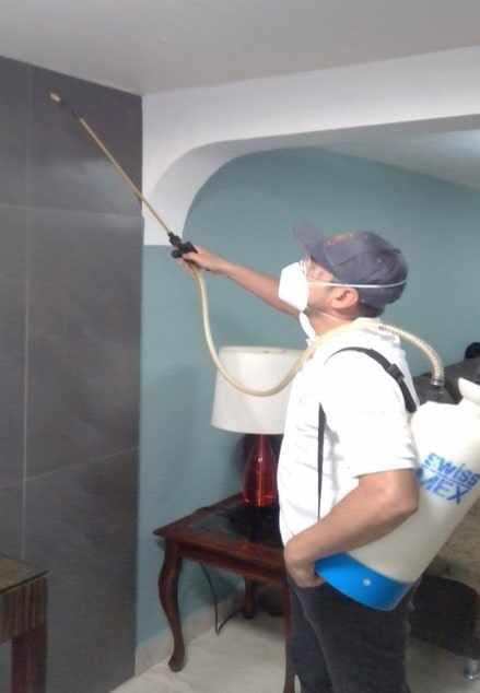 Fumigaciones Orgui Servicios