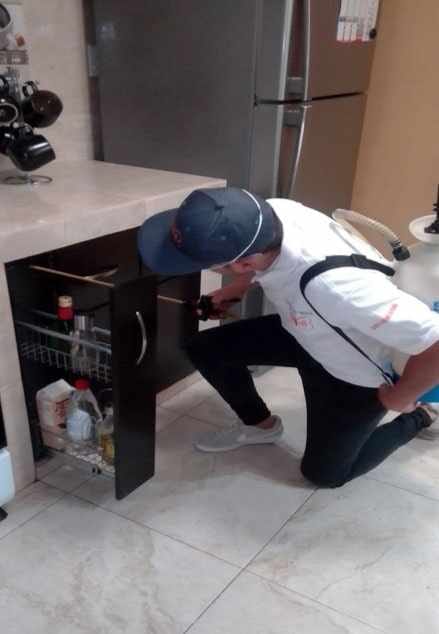 Fumigaciones Orgui Servicios